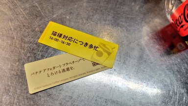 スタバで貰った