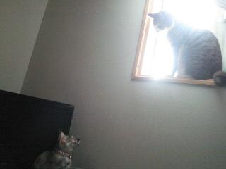 20141103_004420.jpg