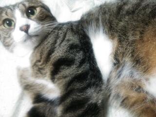 20130826_214249.jpg