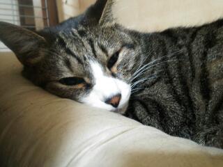 20131215_010728.jpg