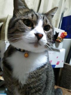 20131211_222552.jpg