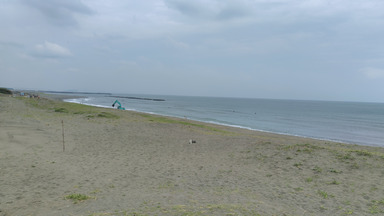 海