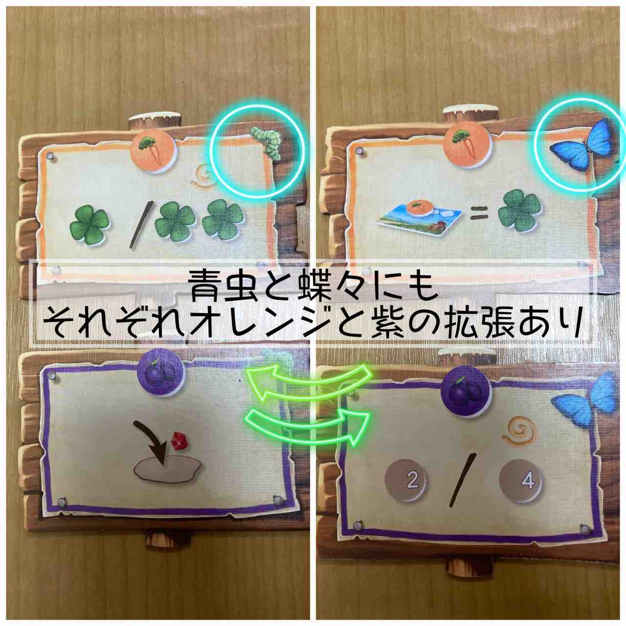 クアックスと仲間たち Quacks & Co.】5歳・7歳と遊んでみたよ。5 クアックスと仲間たち Quacks & Co.】5歳・7歳と遊んでみたよ。5