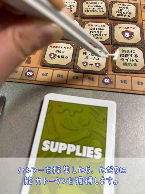 FOSSILIS-ハンマー