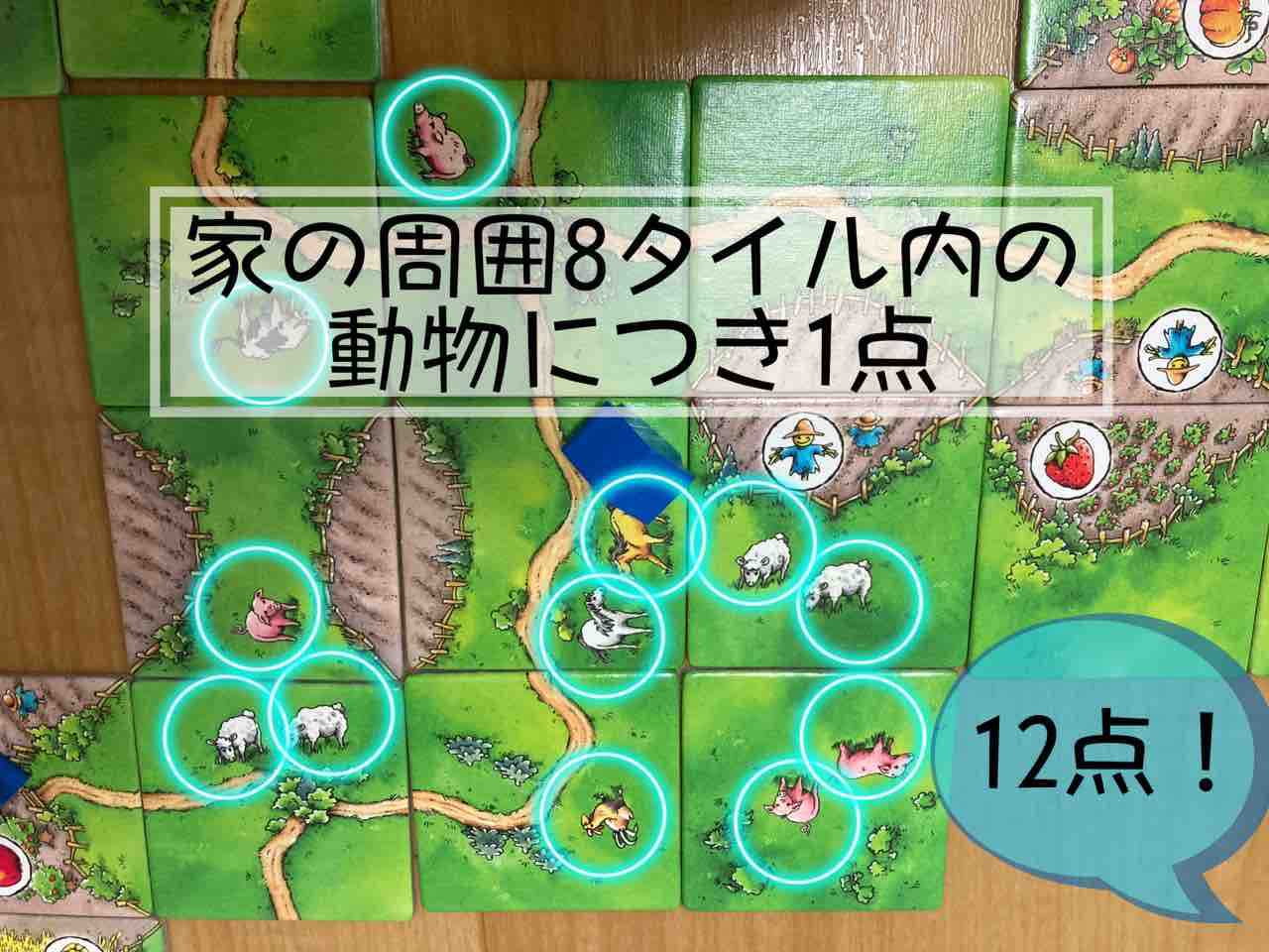 カルカソンヌ：農場 Carcassonne: Über Stock und Stein】5歳・7