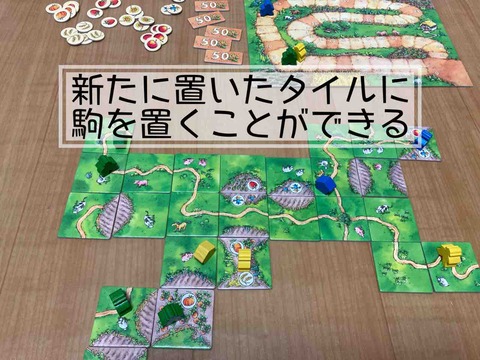 Carcassonne: Über Stock und Stein-icon