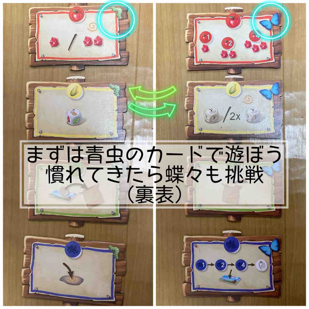 クアックスと仲間たち Quacks & Co.】5歳・7歳と遊んでみたよ。5 クアックスと仲間たち Quacks & Co.】5歳・7歳と遊んでみたよ。5
