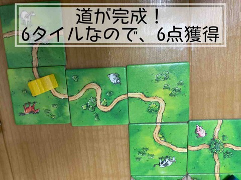 Carcassonne: Über Stock und Stein-road