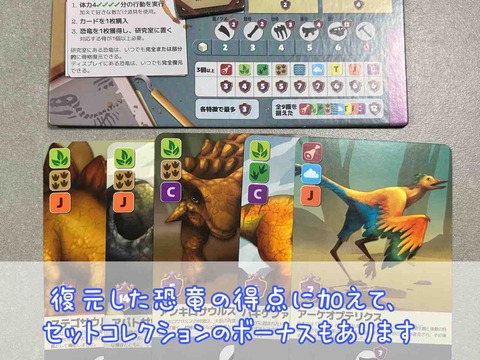 FOSSILIS-セットコレクション