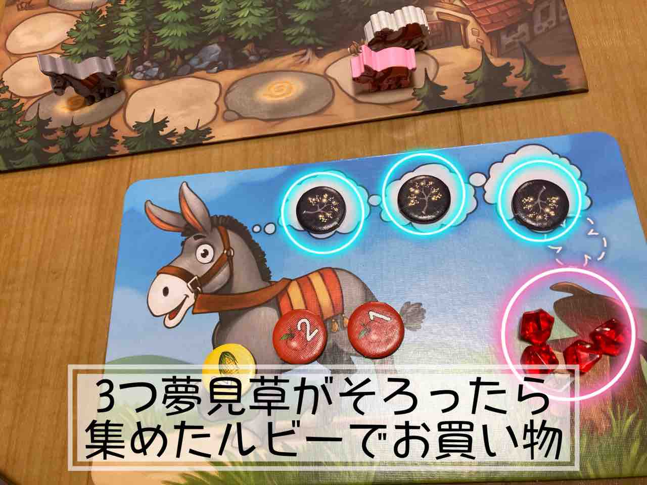 クアックスと仲間たち Quacks & Co.】5歳・7歳と遊んでみたよ。5