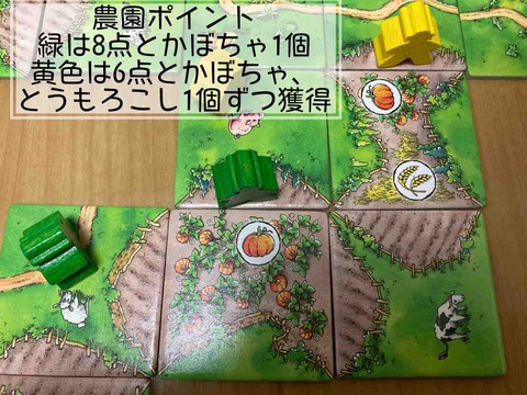 Carcassonne: Über Stock und Stein-farm