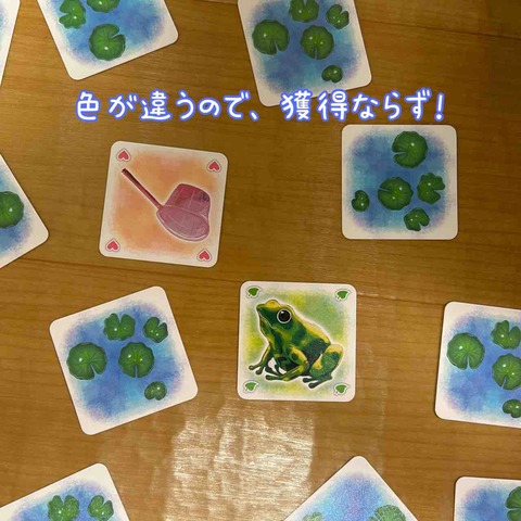 KAERU CATCH!-rule