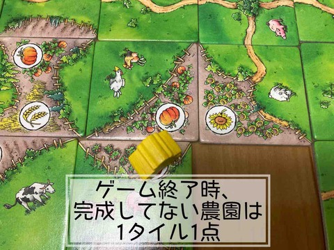 Carcassonne: Über Stock und Stein-unfinishedfarm
