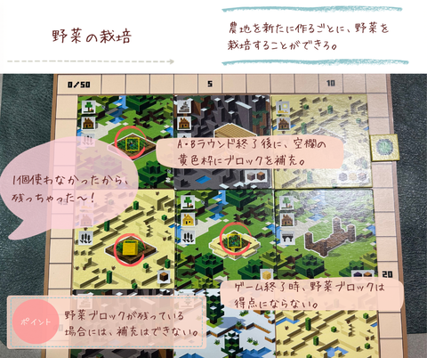 マインクラフトビルダーズ&バイオーム農家の市場 野菜の栽培