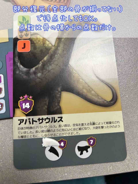 FOSSILIS-部分復元