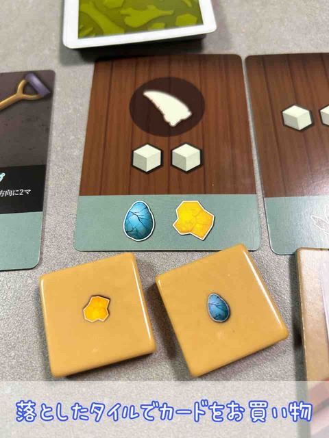 FOSSILIS-カード購入