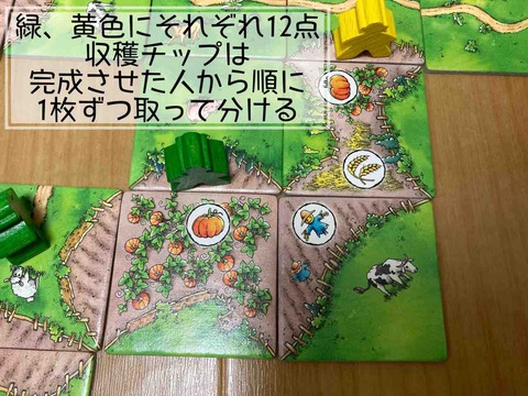 Carcassonne: Über Stock und Stein-farm2