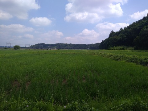 P_20190626_094629