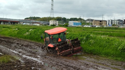 IMG_20220512_085842