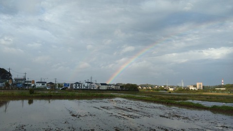 IMG_20200418_161935
