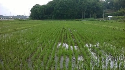 WP_20140610_001