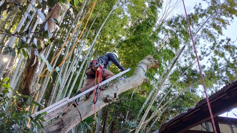 IMG_20221212_104532544_HDR