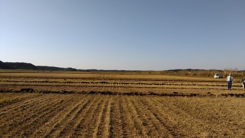 P_20161024_142722