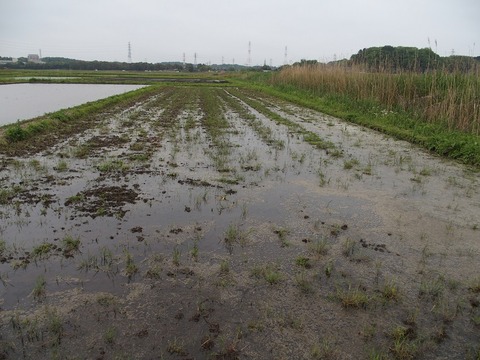 P4270040