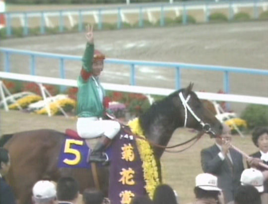 藤沢 アヴニールマルシェはシンボリルドルフ再来 競馬のまとめ