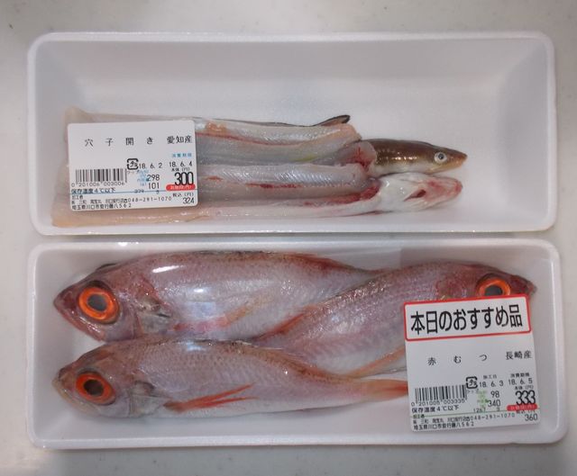 金目鯛とノドグロとアナゴ 釣 るズ