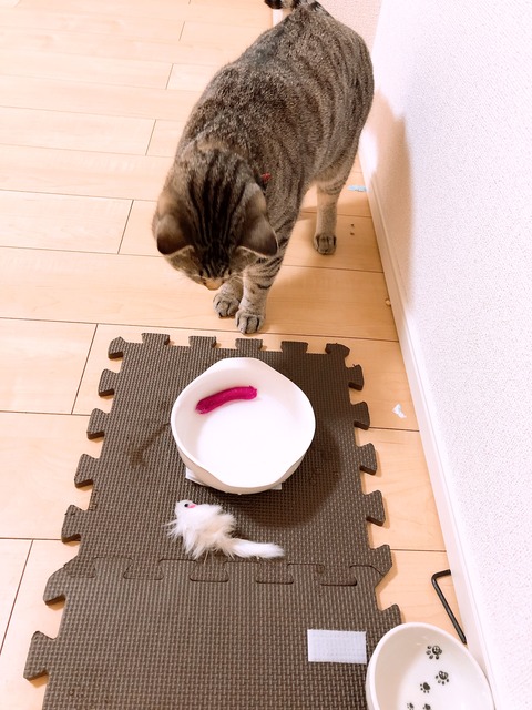 C690928D-4723-4824-8E44-D4A18FE0034C