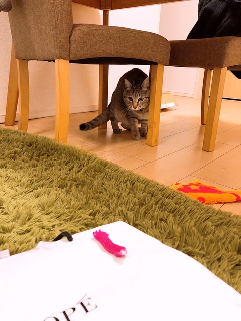 54D6FD03-793E-44C2-A87E-A9BE3E4FB9DB