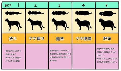 9B77E471-5956-4966-91EE-01B6F5D82D1A