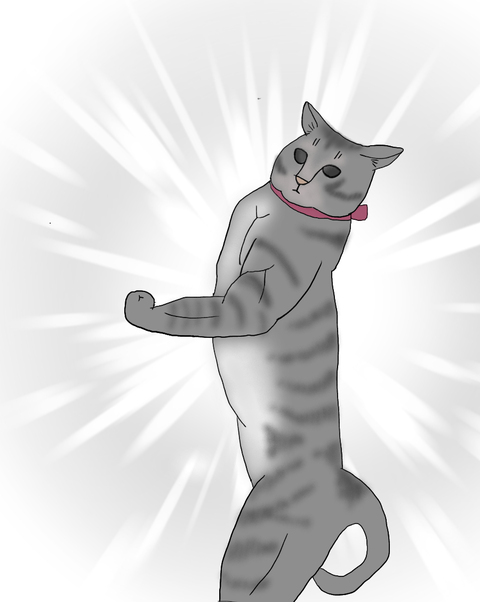 051A423B-F17A-431F-803C-A9EA593096CA