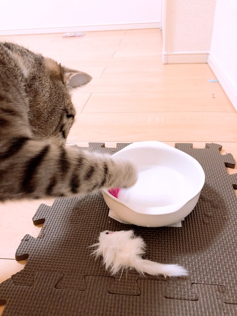 A1437AE5-AE75-46C0-A3B2-DFB3F42456A2