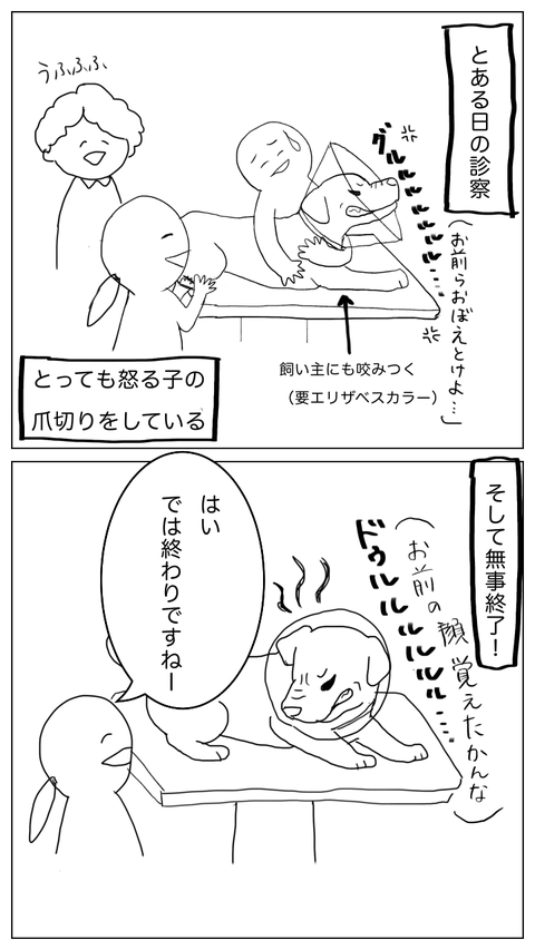 DA655C37-8AAD-460C-9E99-73784734B160