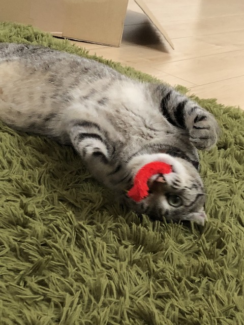 9CEA8CCE-1151-48D6-A190-0FA430D716F7