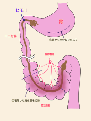 __51 (1)