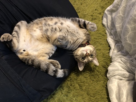 4F20BF22-A4CB-43A9-B71D-B64E33BAE138