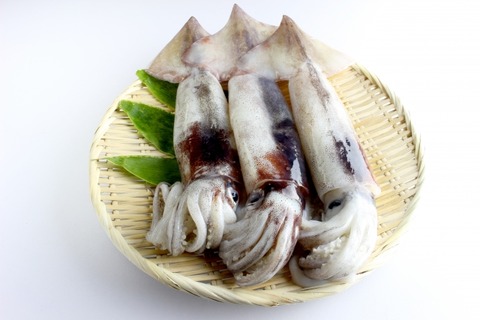 e58c631788c8ce995e430967bfe4154a_s