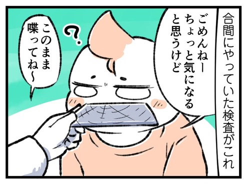 230212_4koma01