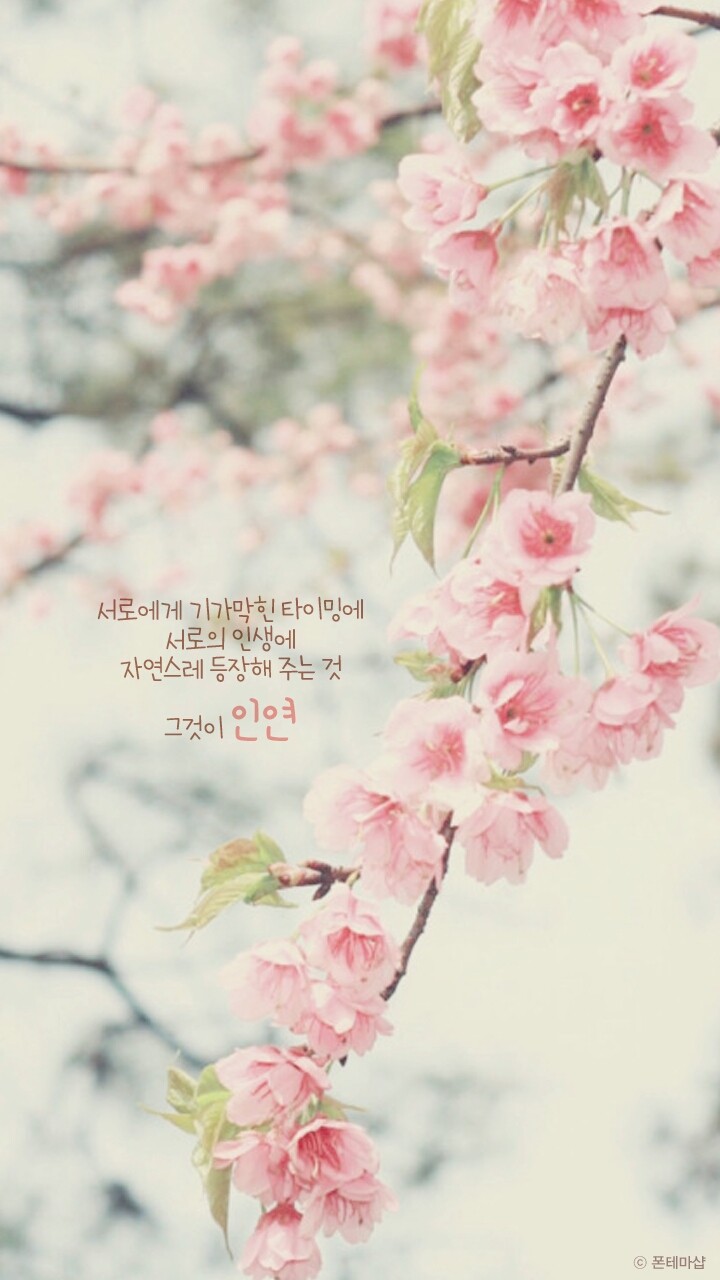 韓国語の待ち受け画像 明るくなれる春のメッセージ編 Wanna Be A Writer