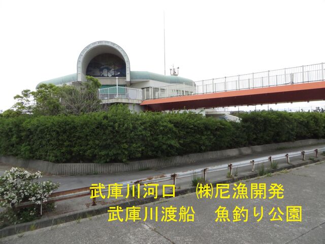 武庫川左岸をサイクリング さこ爺日記 武庫川左岸をサイクリング さこ爺日記