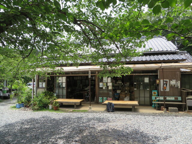 甲山 さくら茶屋と北山緑化植物園 さこ爺日記