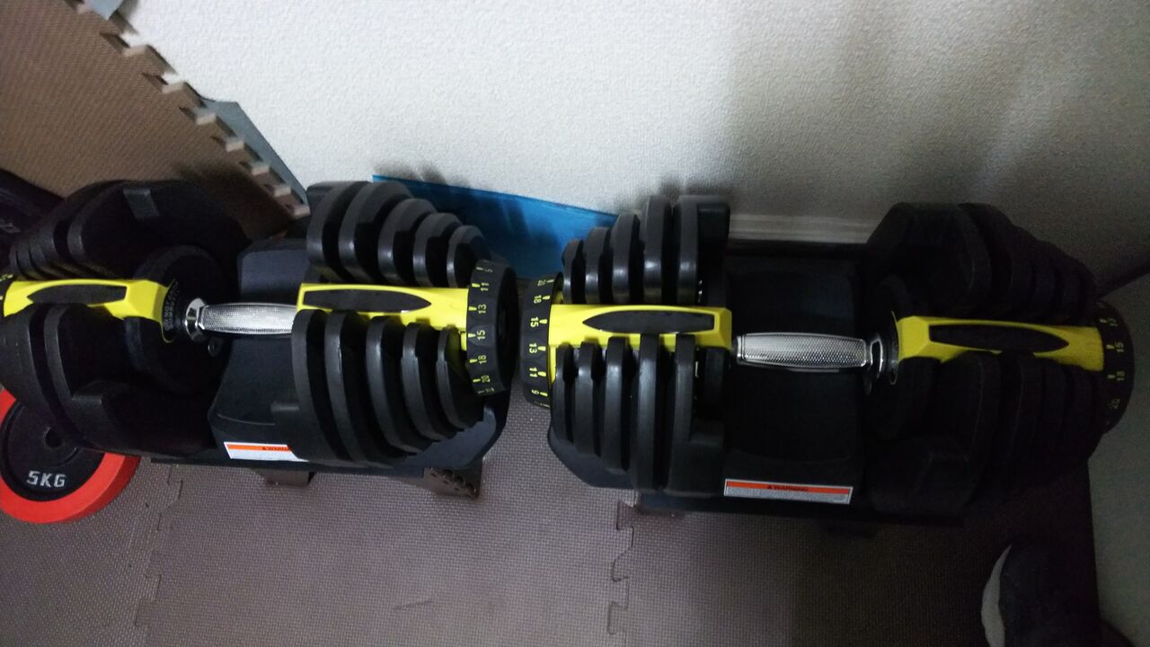 ホームトレーニングのススメ のはなし 世界最小のデスマッチレスラー 佐久田俊行の読むと馬鹿になるブログ