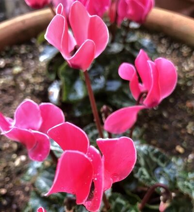 年11月03日 ｓａｋｕだっちゃ