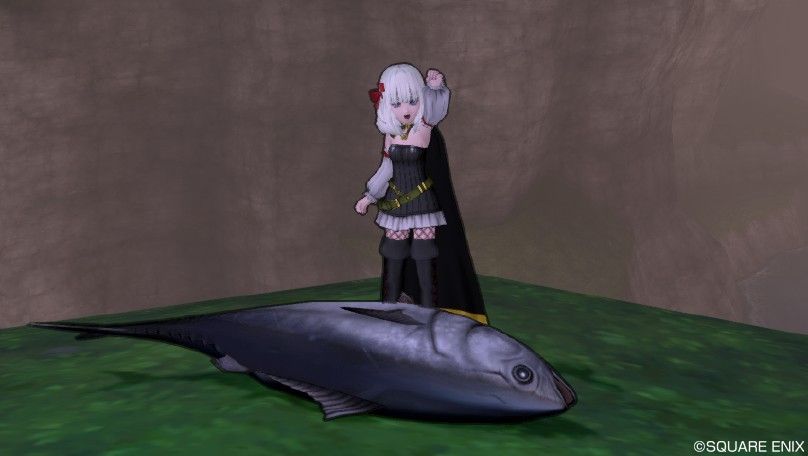 Dq10 ヤングガイアに挑戦 本日の釣り マグロなど ドラクエ10 攻略ブログ Re 旅芸人道中記