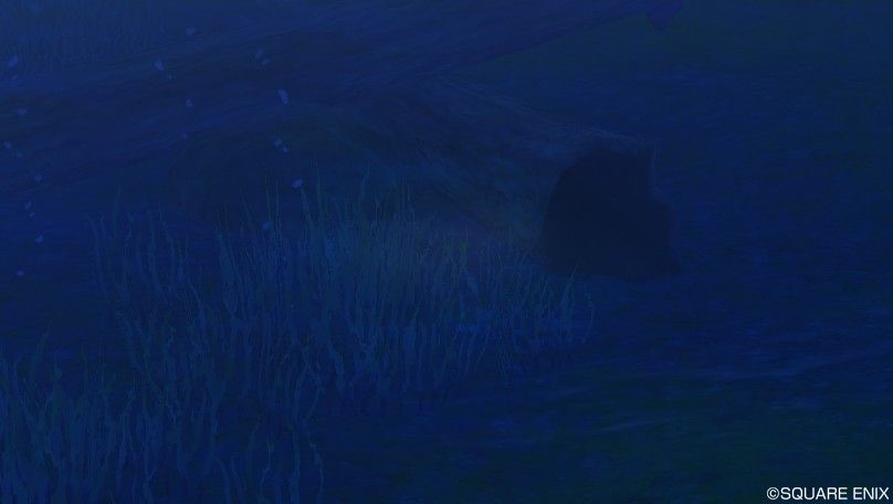 Dq10 ハネツキ博士の調査依頼 写真の場所 ドラクエ10 攻略ブログ Re 旅芸人道中記