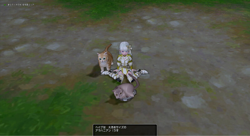 Dq10 Ver5 0新魚 ペンシルフィッシュ を釣ってきました 等々 ドラクエ10 攻略ブログ Re 旅芸人道中記 Dq10 Ver5 0新魚 ペンシルフィッシュ を釣ってきました 等々 ドラクエ10 攻略ブログ Re 旅芸人道中記