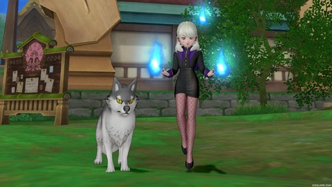 Dq10 グレイウルフをゲットしました 第2回 真夜中プリズラン ドラクエ10 攻略ブログ Re 旅芸人道中記
